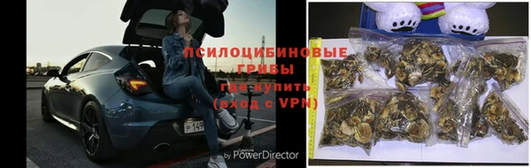 гидропоника Заводоуковск