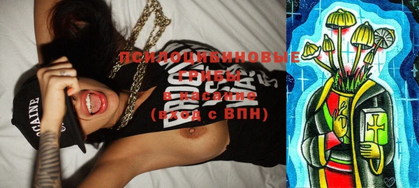 скорость Зеленокумск