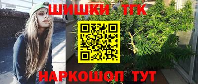 тгк Берёзовский