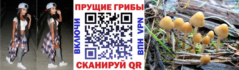 Псилоцибиновые грибы мухоморы  Учалы 