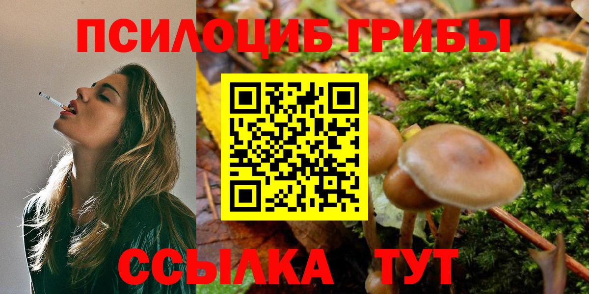 Псилоцибиновые грибы ЛСД  Вход с VPN  Учалы  Псилоцибиновые грибы Psilocybe 