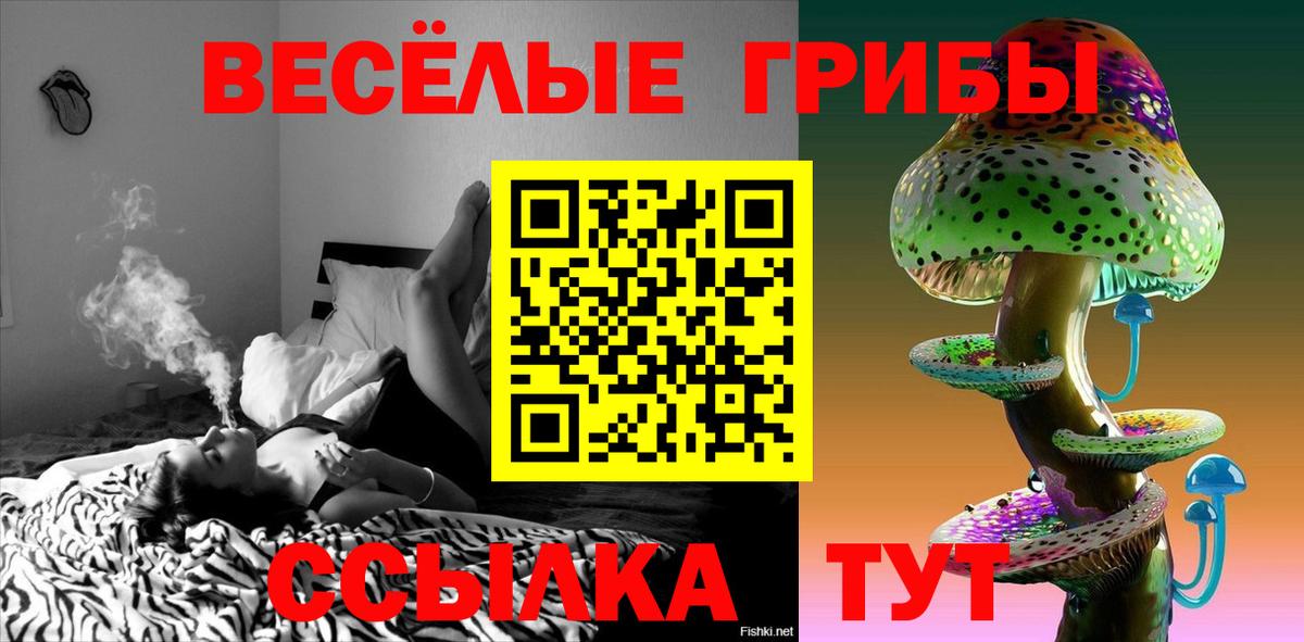 Псилоцибиновые грибы Cubensis Учалы